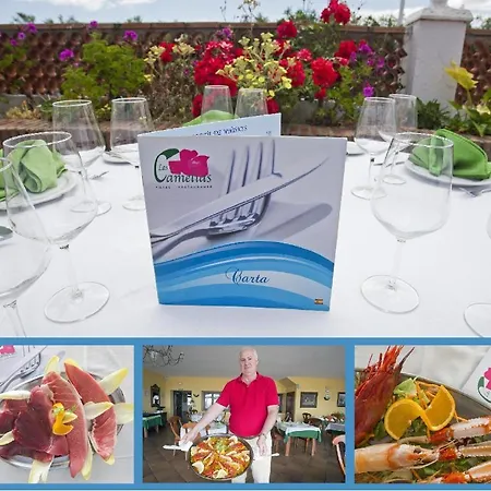 Camelias سوتوغراندِ